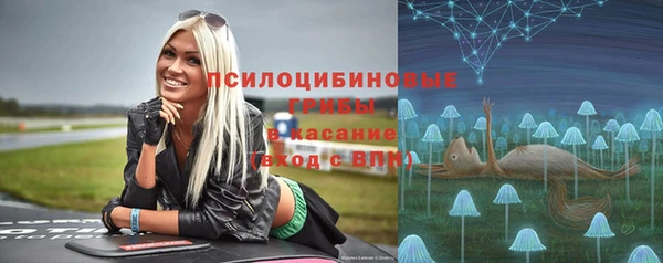 гидропоника Медвежьегорск