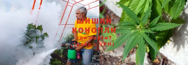 гидропоника Медвежьегорск