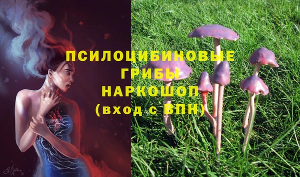 гидропоника Медвежьегорск