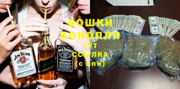 индика Орехово-Зуево