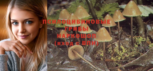 гидропоника Медвежьегорск