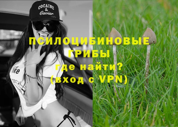 МДПВ Мегион