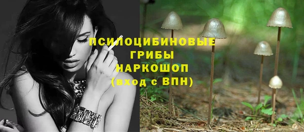 амф Алексин